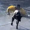 собака в ледяной воде