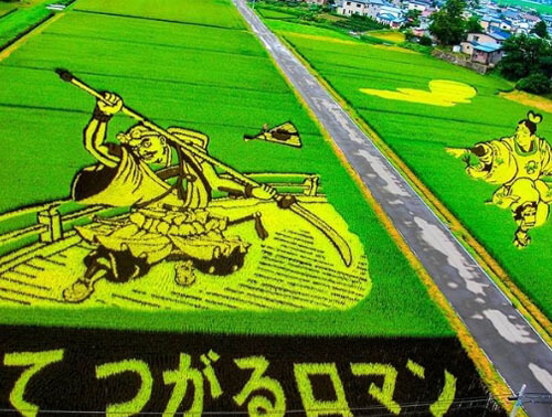 рисунки на рисовых полях