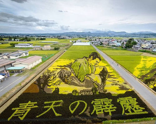 рисунки на рисовых полях