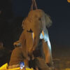 слона удалили с помощью крана