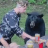 медведь на семейном пикнике