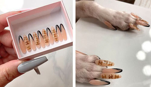 накладные ногти для собаки