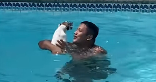 собака и хозяева в бассейне