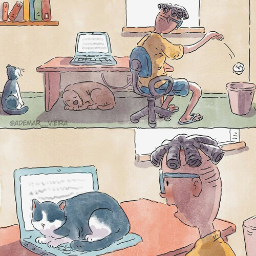 иллюстратор приютил котёнка