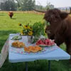 фруктовый пикник для коров