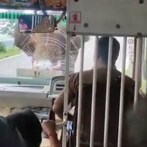слон разбил стекло в автобусе