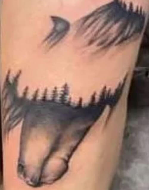 татуировка с рисунком лошади
