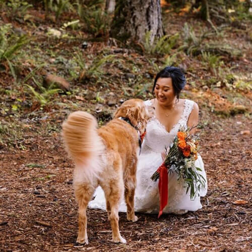 wedding photo session with a dog