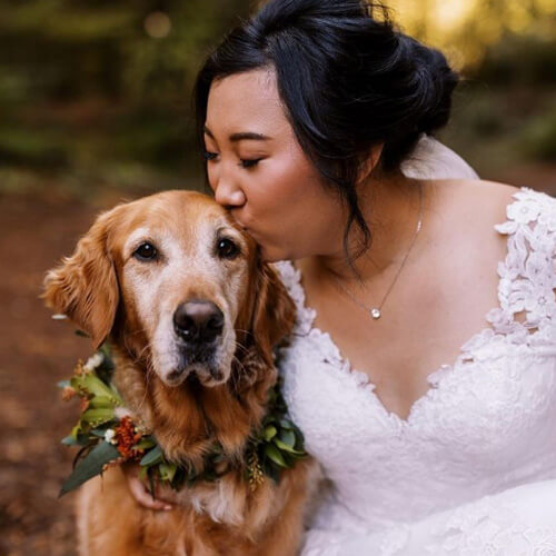wedding photo session with a dog