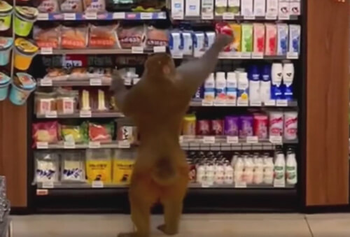 обезьяна приходит в магазин