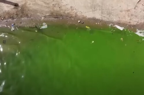ярко-зелёная вода в озере