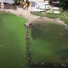 ярко-зелёная вода в озере