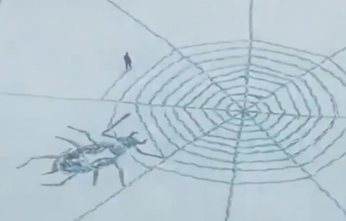 картина с пауком в паутине