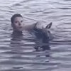 кенгуру оказался в воде