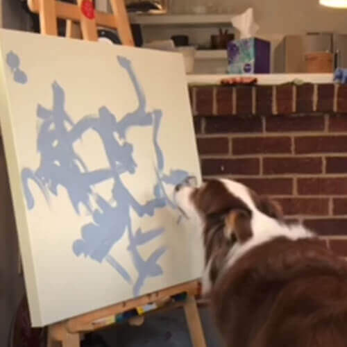 картины нарисованные собакой