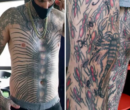 много татуировок с насекомыми