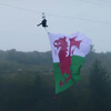 телеведущая с флагом уэльса