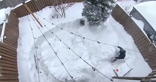 снежный лабиринт для пса