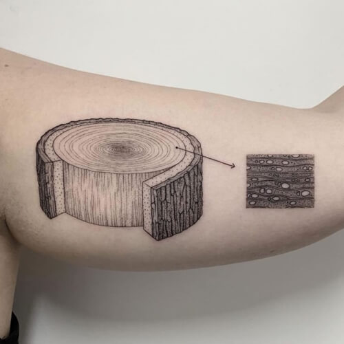 татуировки в научном стиле