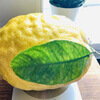 угощения из крупного лимона