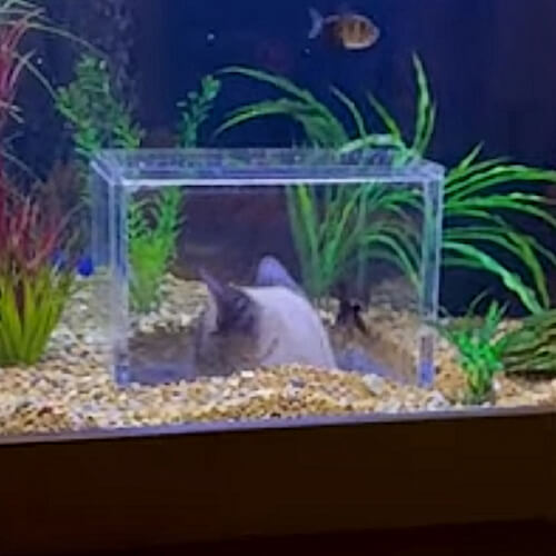 смотровая будка в аквариуме