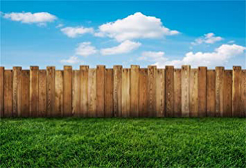 too low neighbor fence