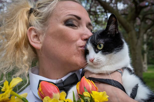 хозяйка вышла замуж за кошку