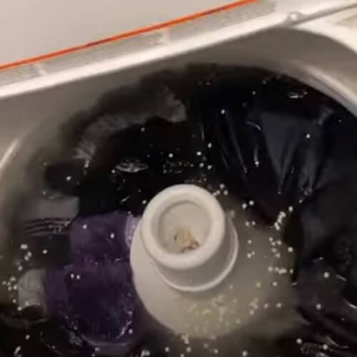 bottle of wine in the washing machine