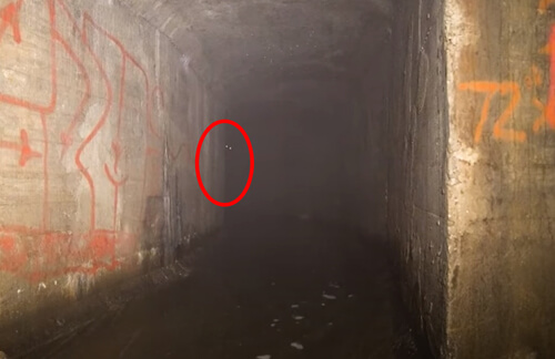 странные существа в тоннеле