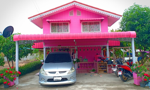 pink house and accessories