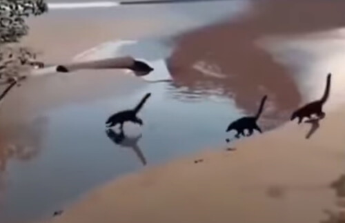 крошечные динозавры на пляже