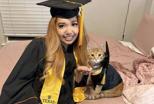 graduation ceremony with a cat 