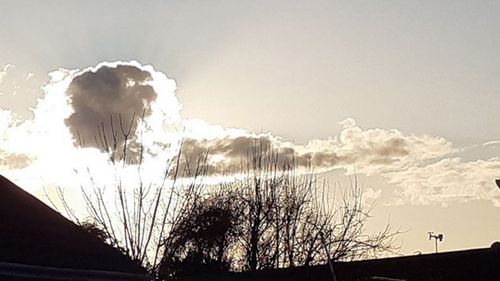 the cloud looks like a dead grandmother