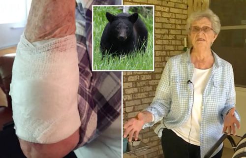The bear attacked the old woman