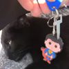 чёрная кошка достала ключи
