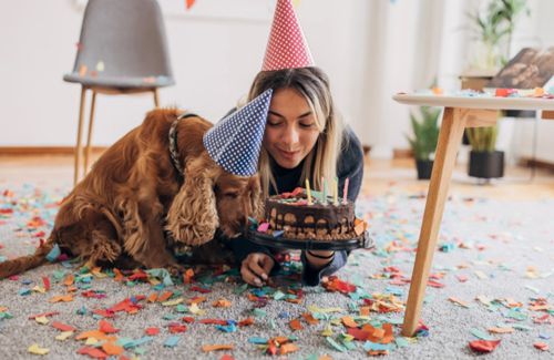 мало денег на день рождения собаки