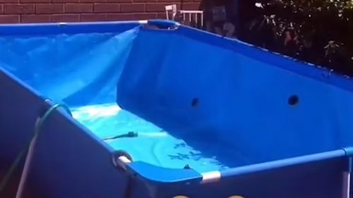 добрячка поставила бассейн у дома