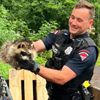 полицейский спас енота из мусора