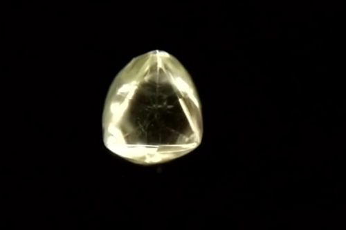 diamond found in the forest