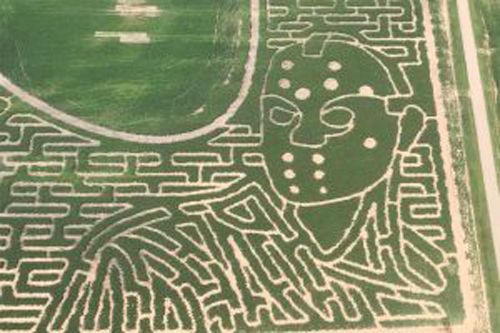 corn field maze