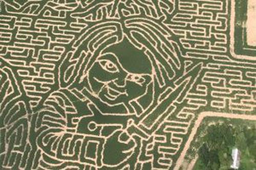 corn field maze