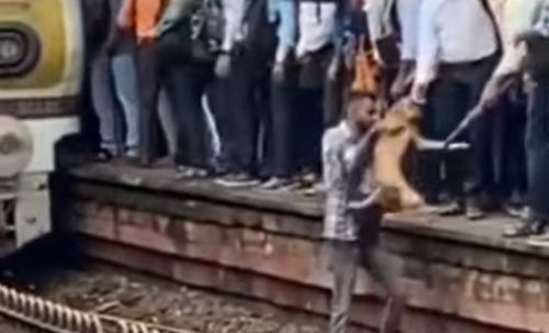 the good man saved the dog from the rails