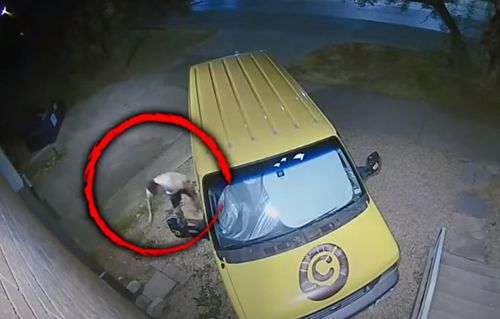thief beaten under car