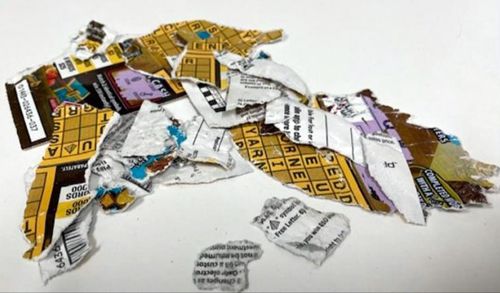 dogs tore up a lottery ticket