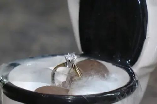 бриллиант нашёлся в унитазе