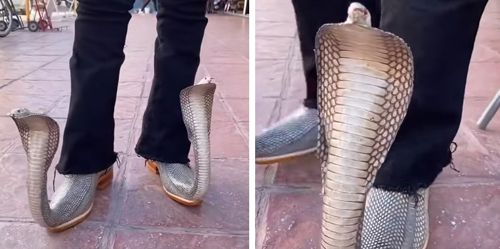 ботинки в виде змей