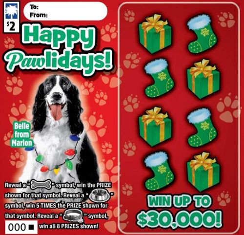 фото собак на лотерейных билетах