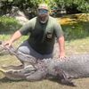 крупный аллигатор напал на собаку