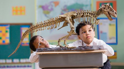 школа отрицает динозавров