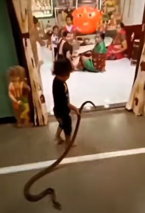 малыш приволок в дом змею